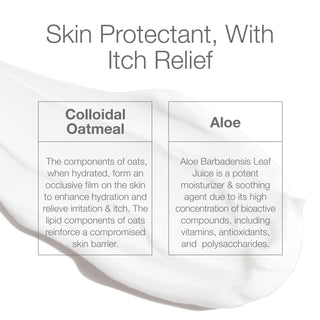 Body Moisturizer (1 oz) CLn Skin Care 